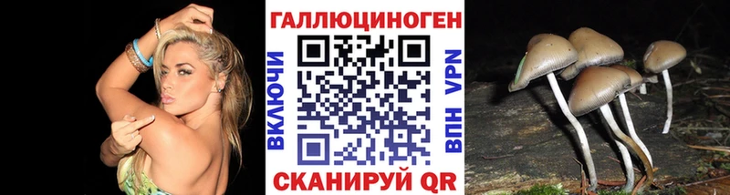купить наркотики цена  Кодинск  гидра ССЫЛКА  Галлюциногенные грибы прущие грибы 